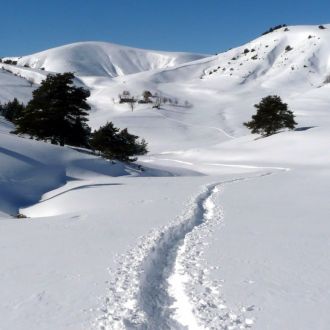 Visiter Seyne Les Alpes Un Village De Provence En Montagne